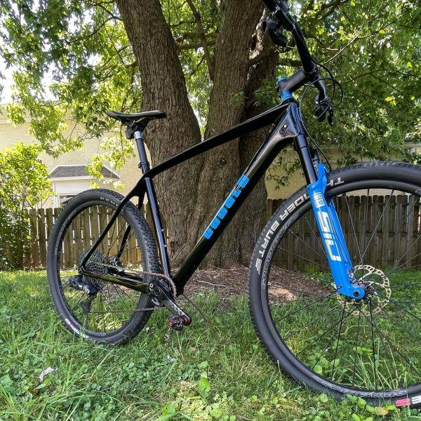 Black and blue Cobalt gravel bike beneath a tree