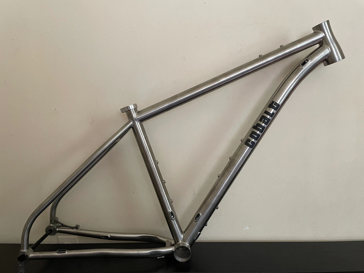 Titanium Diablo MTB Frame